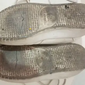 Tira fuori la lingua e Lecca le suole delle mie scarpe